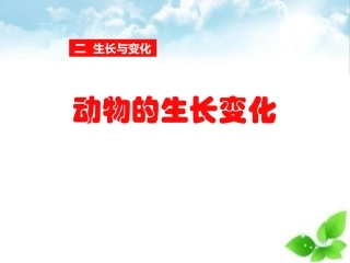动物的生长变化生长与变化自制