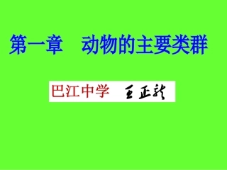 动物的主要类群