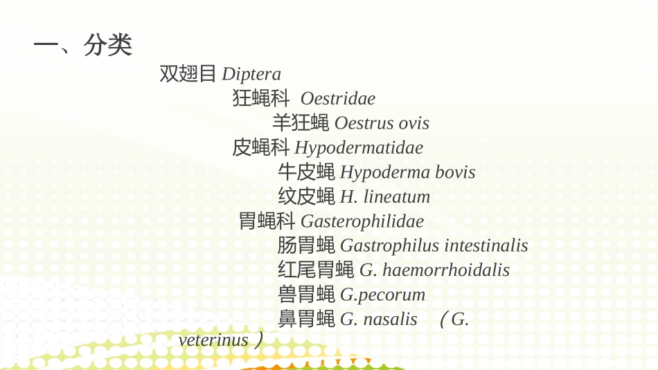 动物寄生虫三大蝇蛆病_第3页