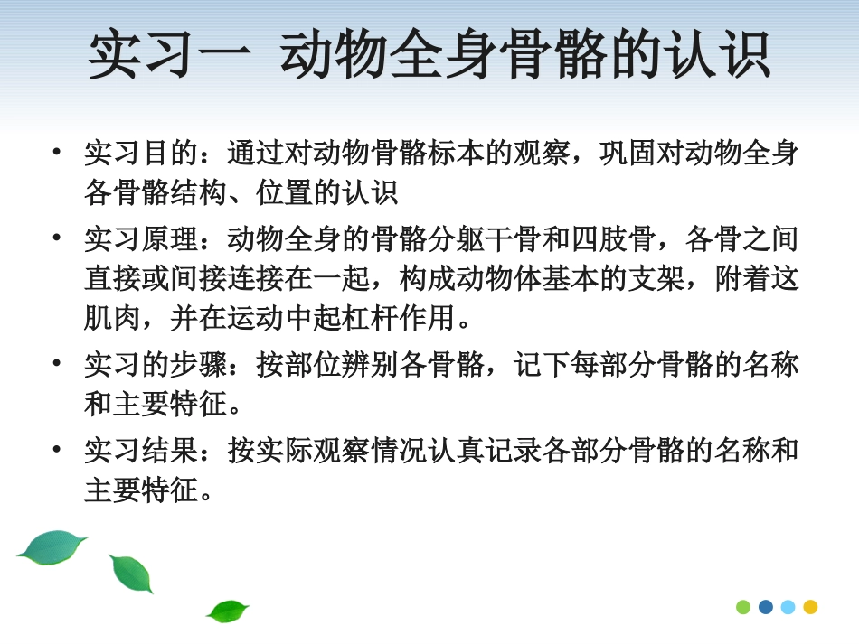 动物解剖学实验_第2页