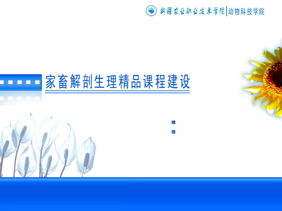 动物解剖学之呼吸系统_第1页