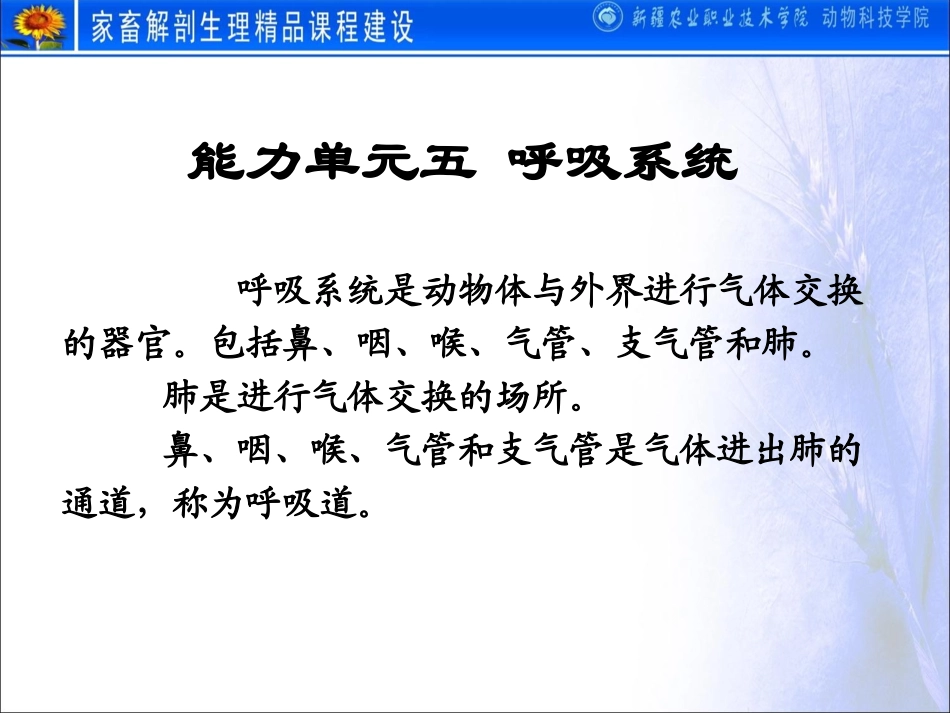 动物解剖学之呼吸系统_第2页