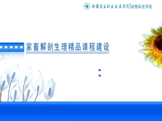 动物解剖学之呼吸系统