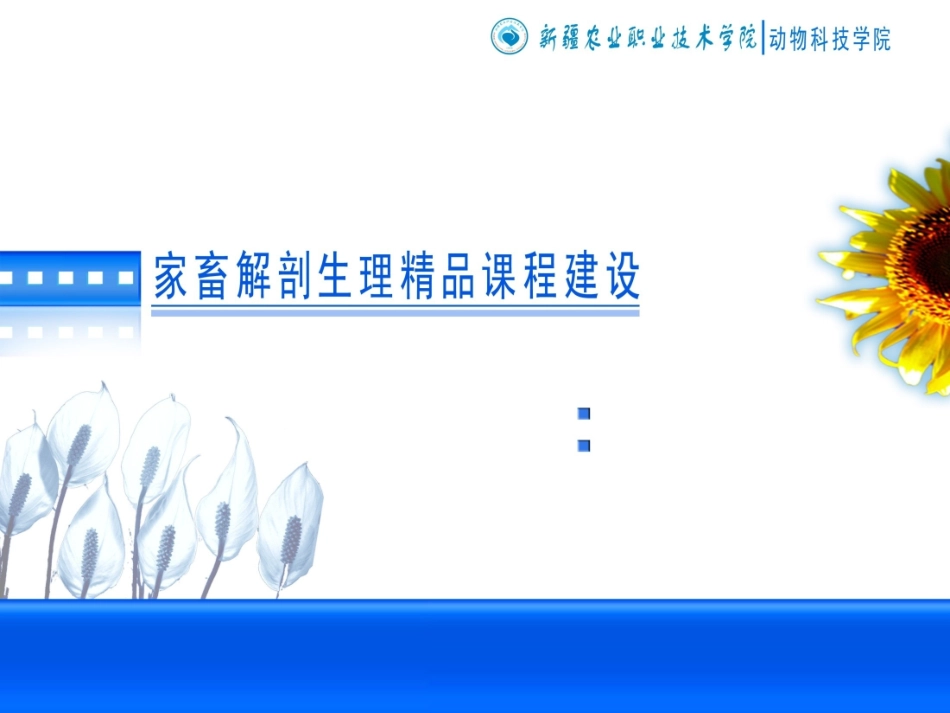 动物解剖学之泌尿系统_第1页