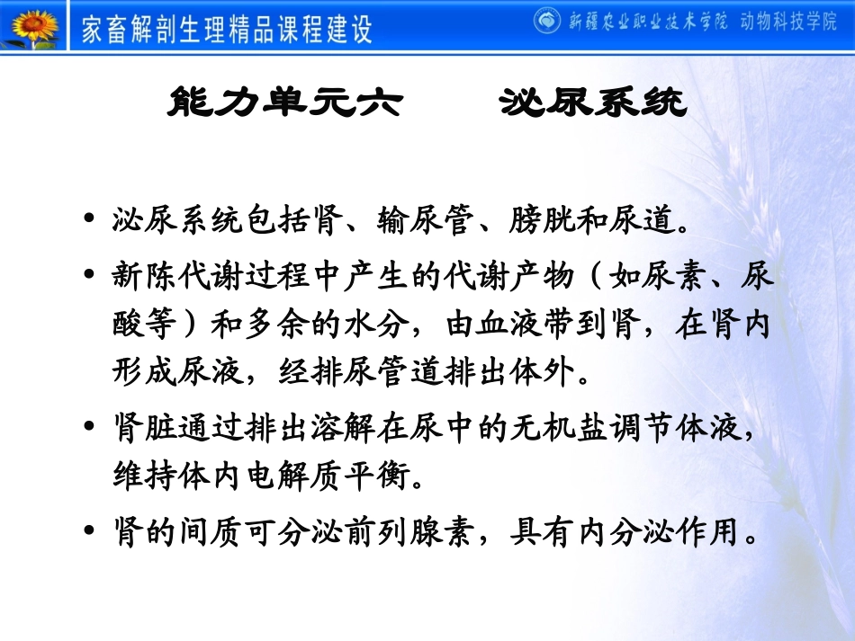 动物解剖学之泌尿系统_第2页