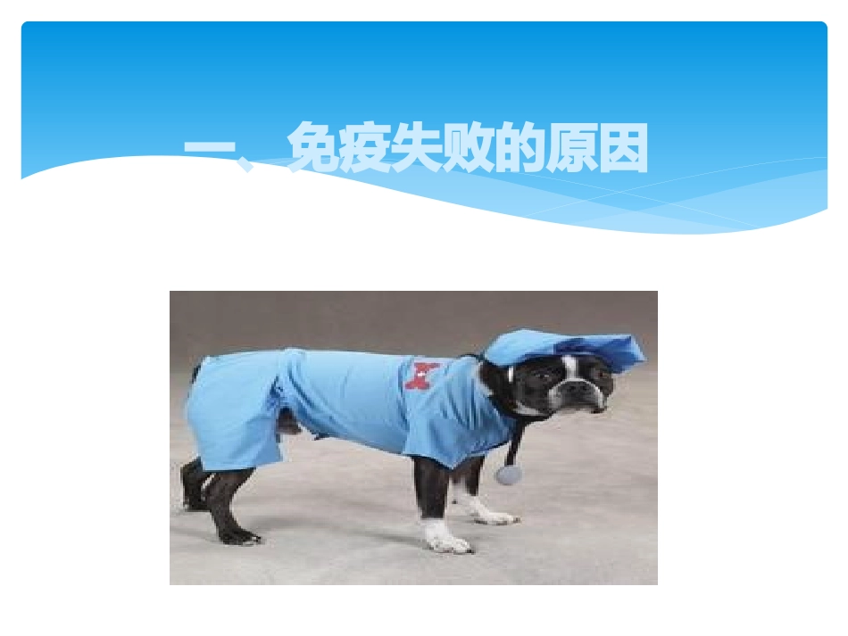 动物免疫失败的原因及预防措施_第2页