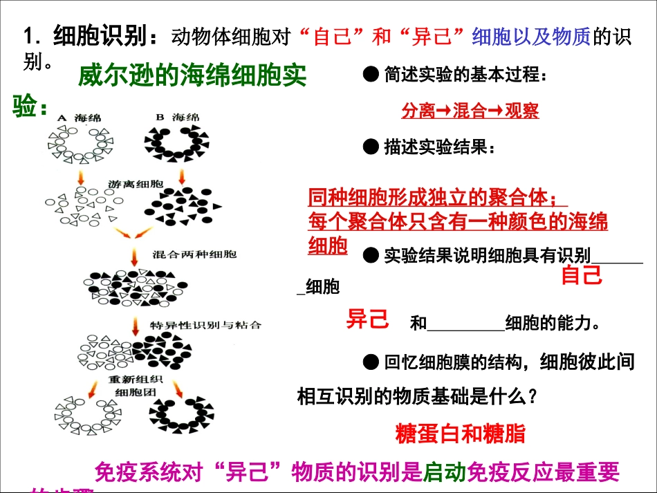 动物体的细胞识别和免疫_第3页