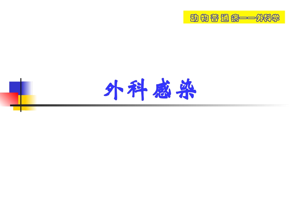 动物外科感染_第1页