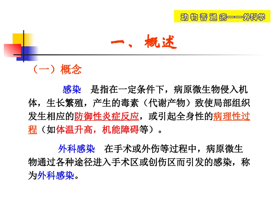 动物外科感染_第3页