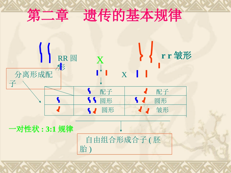 动物遗传育种与繁殖遗传的基本规律_第3页