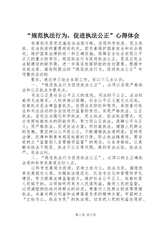 规范执法行为，促进执法公正心得体会