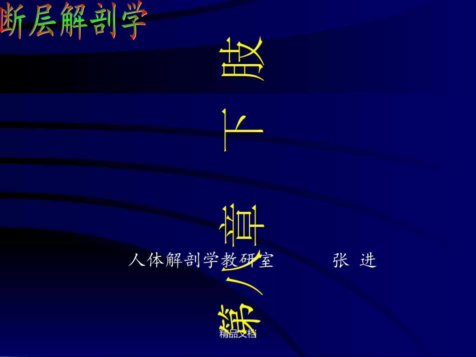 断层解剖学下肢_第1页