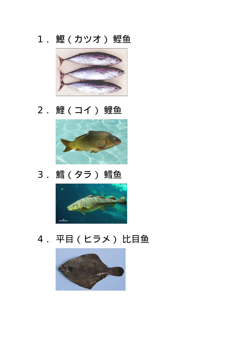 各种鱼贝日语名字(图文)_第1页