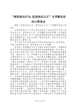 规范执法行为促进执法公正专项整改活动心得体会