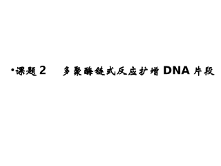 多聚酶链式反应扩增DNA片段