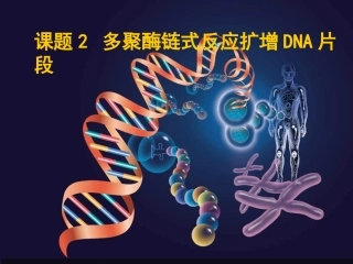 多聚酶链式反应扩增DNA片段汇总