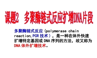 多聚酶链式反应扩增DNA片段总结