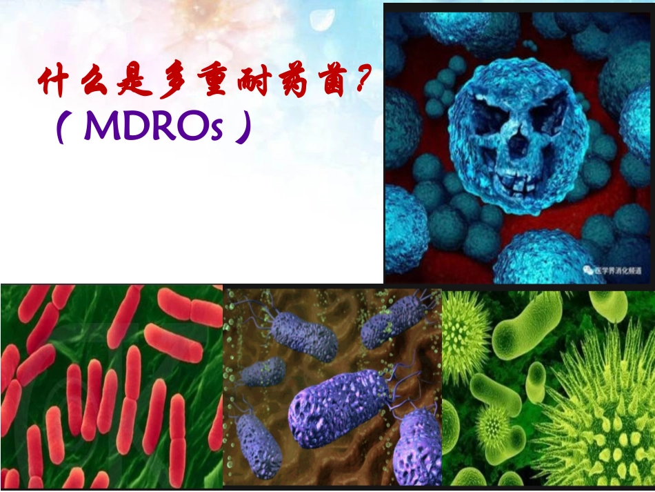 多重耐药菌的隔离与防护_第3页