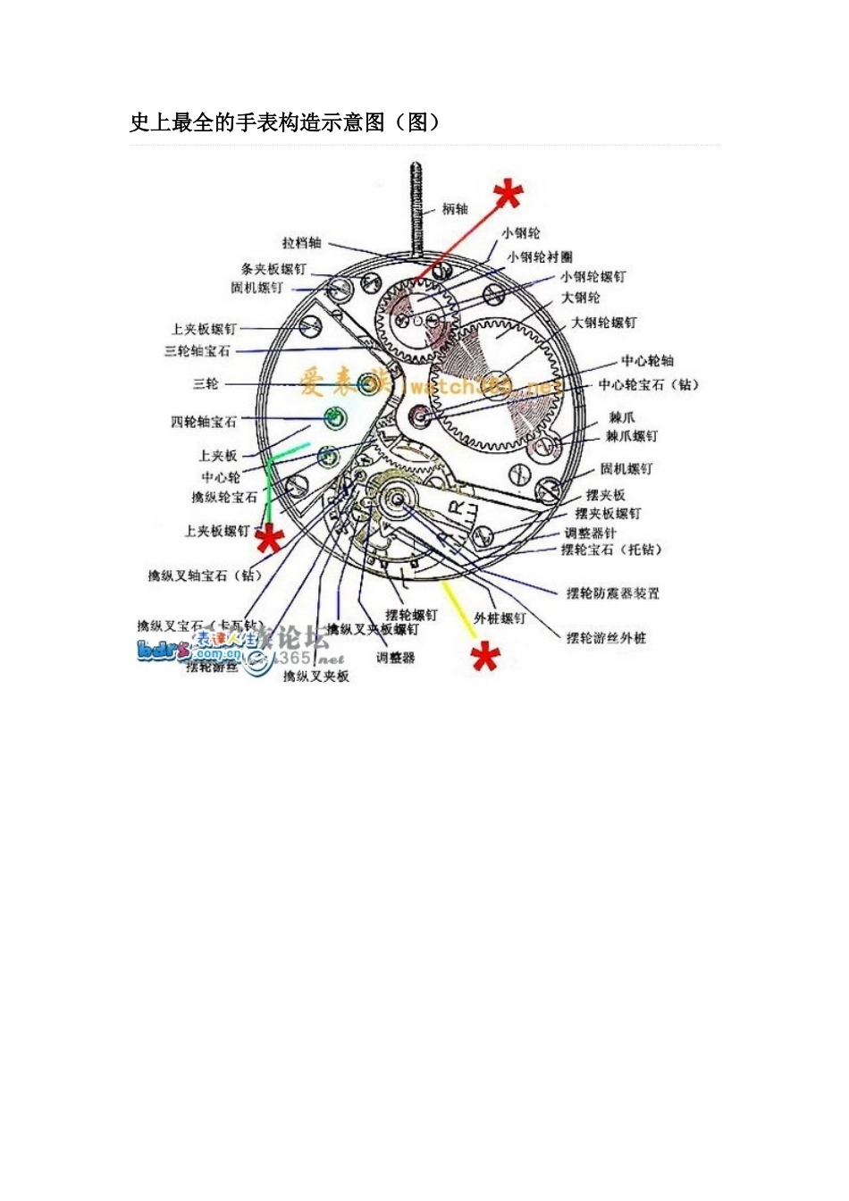 史上最全的手表构造示意图(图)_第1页