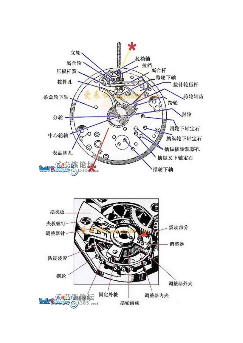 史上最全的手表构造示意图(图)_第2页