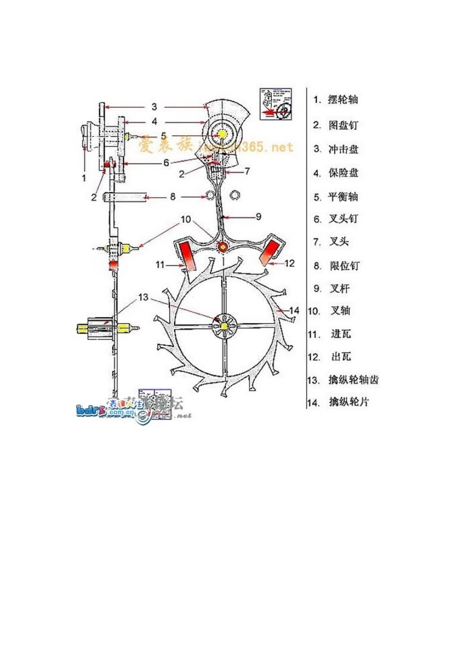 史上最全的手表构造示意图(图)_第3页