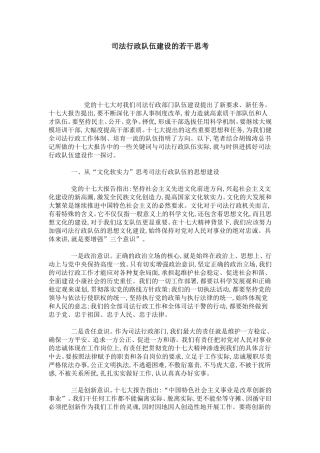 司法行政队伍建设的若干思考-总结报告模板