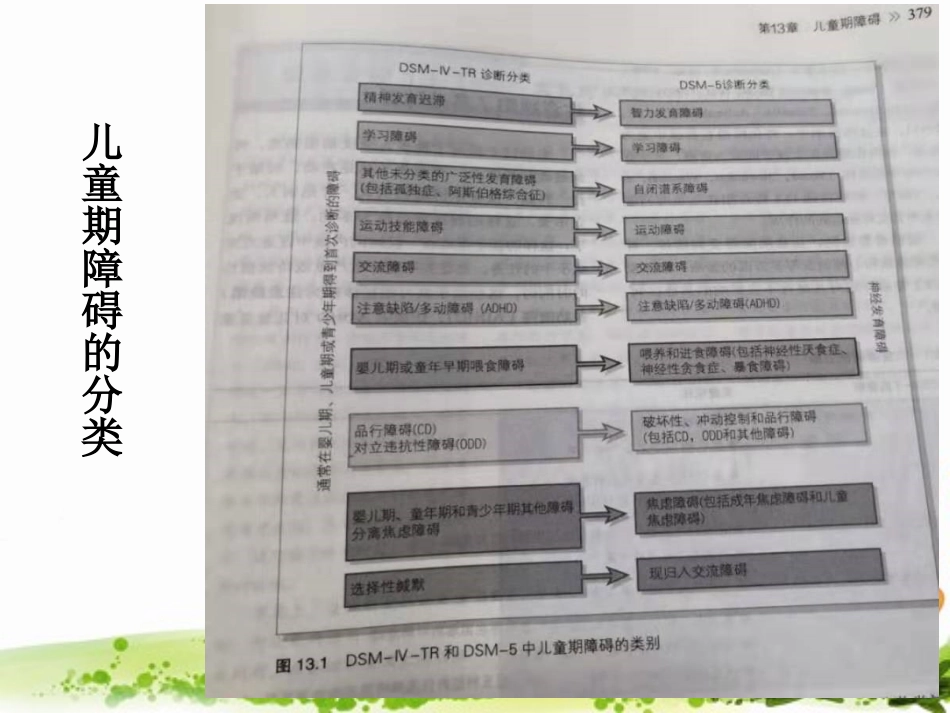 儿童期的常见心理障碍_第2页