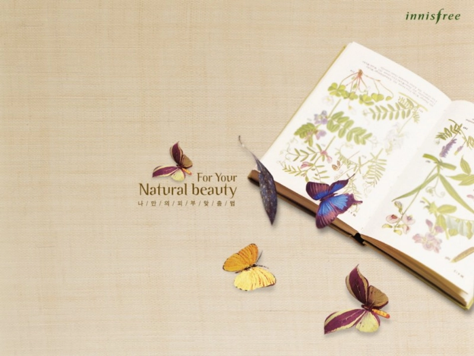 儿童肾母细胞瘤诊断治疗建议解读_第1页