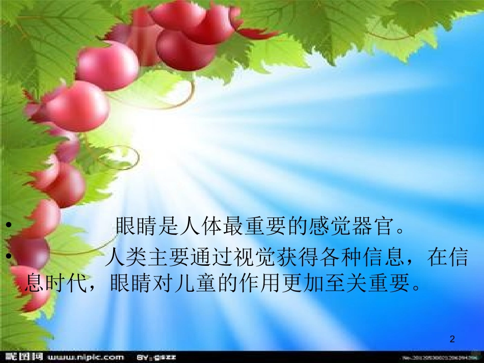 儿童眼保健课件_第2页
