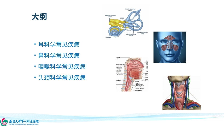 耳鼻喉常见疾病_第2页