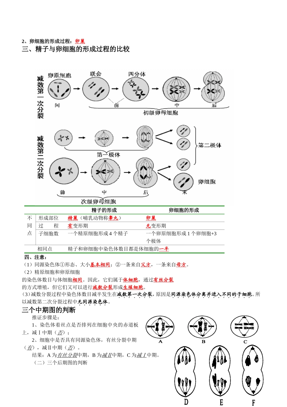 史上最全减数和有丝分裂期末复习图像解释例题_第3页