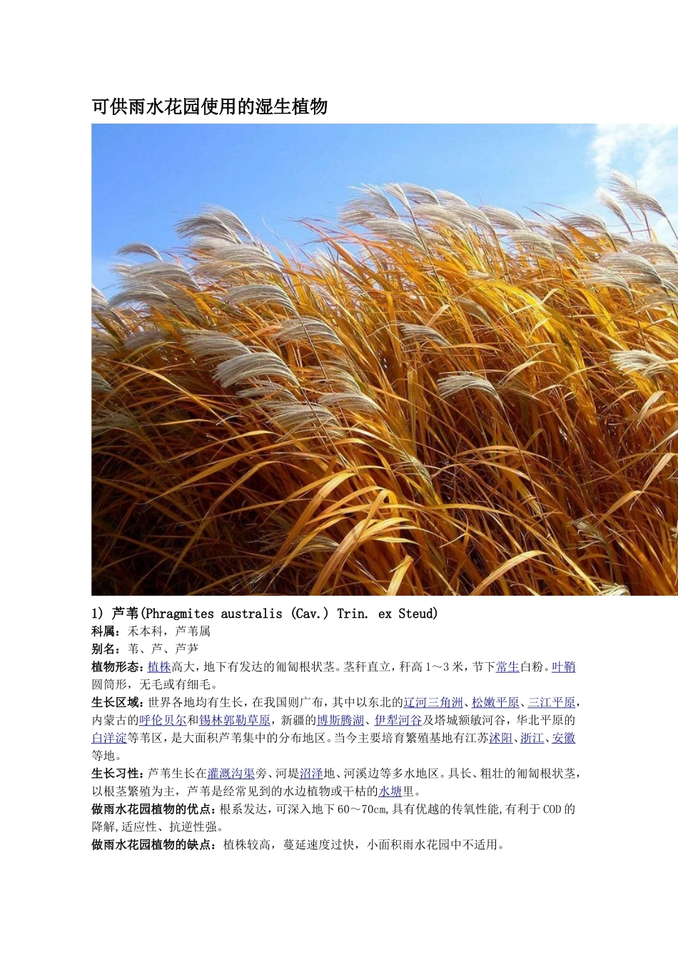 可供雨水花园使用的植物_第1页