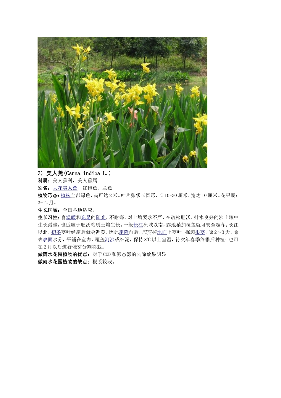 可供雨水花园使用的植物_第3页