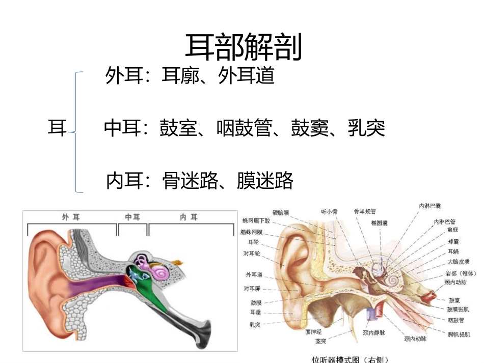 耳鼻喉科一般检查_第3页