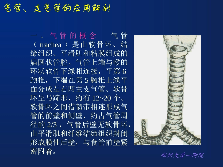 耳鼻喉气管食管讲义_第3页