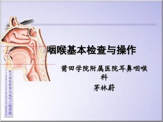 耳鼻咽喉基本检查与操作