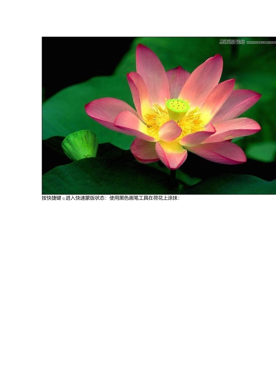 史上最全面的ps蒙版图文教程_第2页