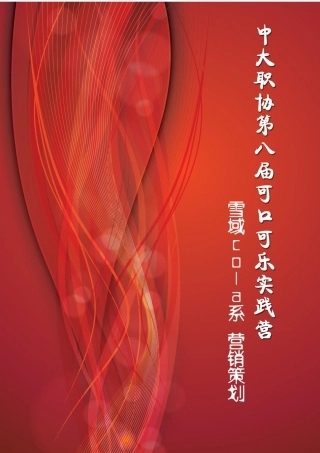 可口可乐实践营策划-雪域cola系2