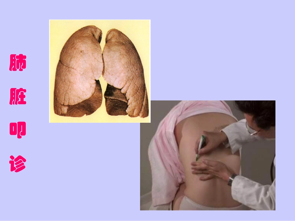 肺部叩诊听诊_第2页