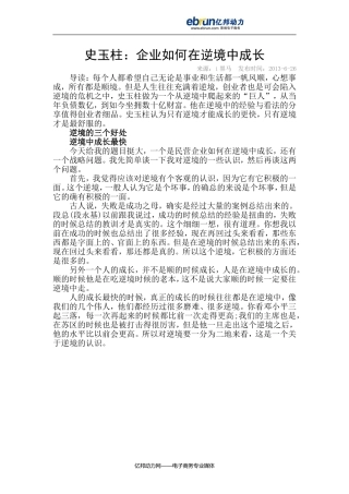 史玉柱：企业如何在逆境中成长