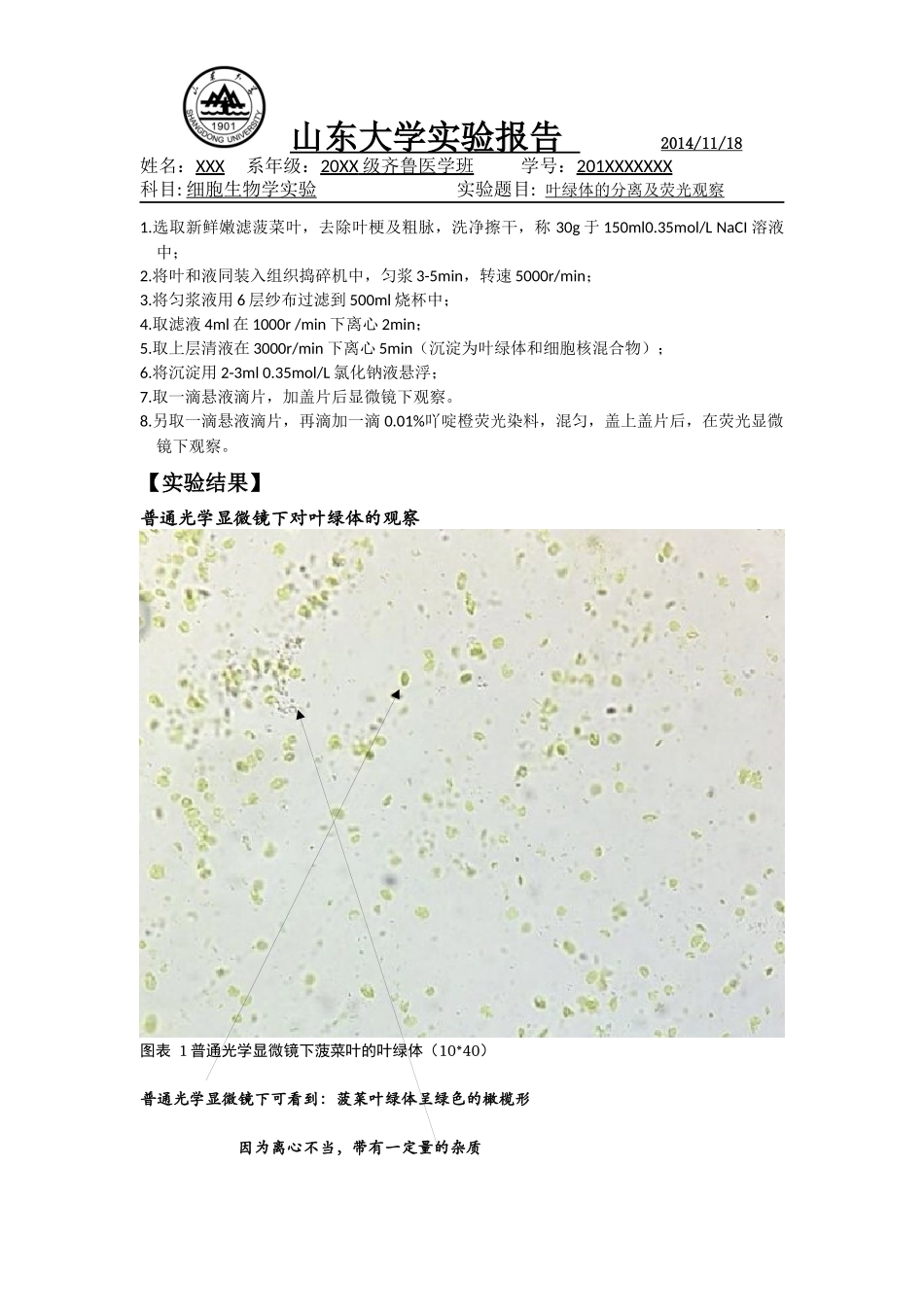 叶绿体的分离与荧光观察_第2页