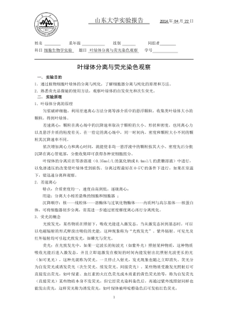 叶绿体分离与荧光染色观察