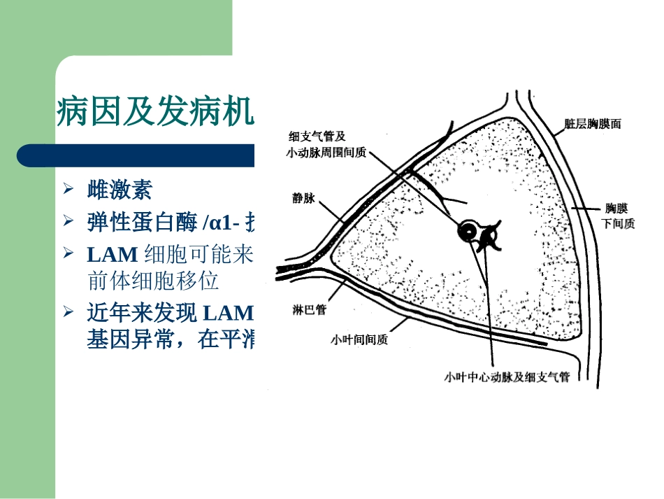 肺淋巴管肌瘤病_第3页