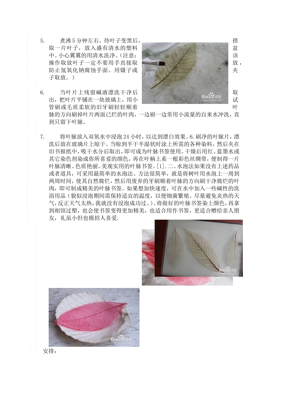 叶脉书签的制作方法_第2页