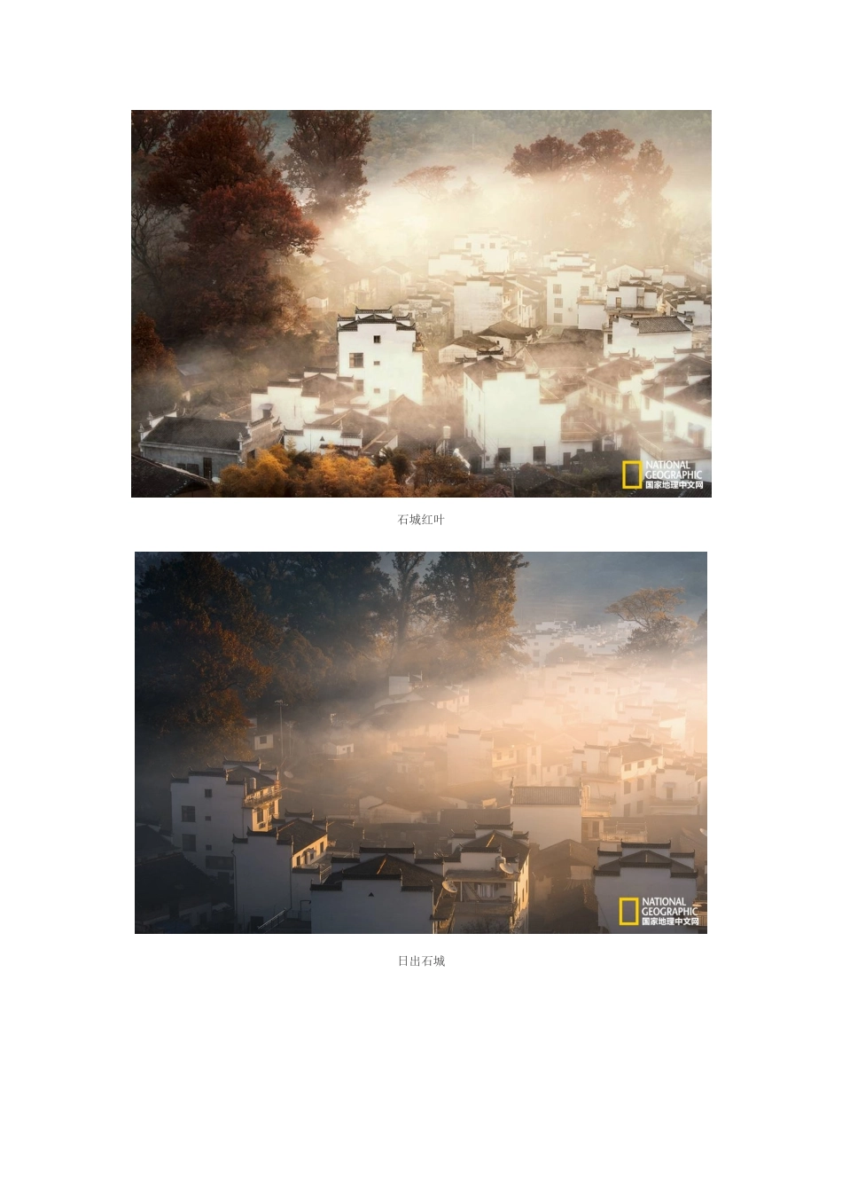 只言春色能娇物_第3页