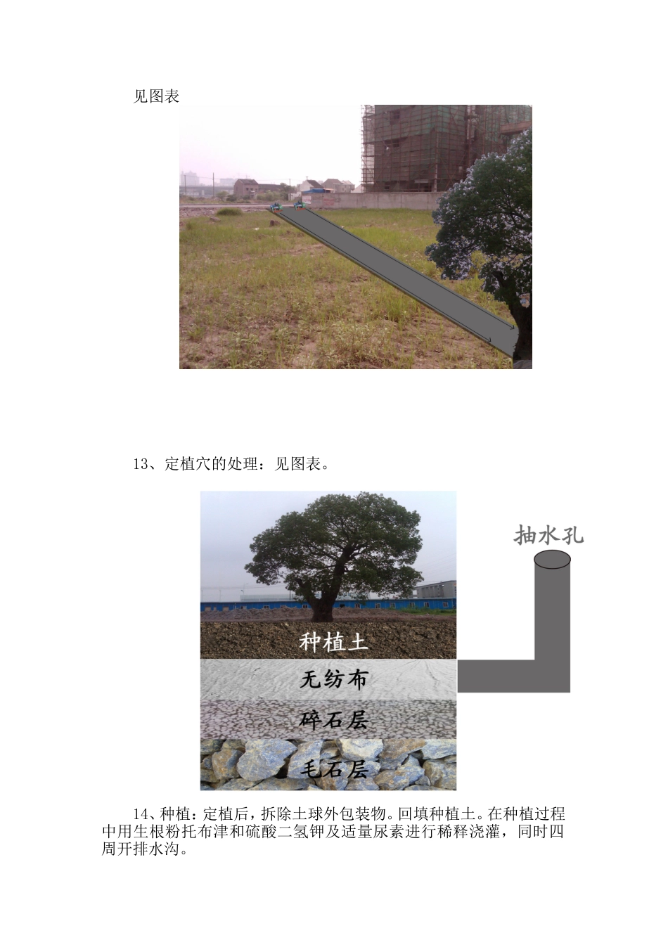 古树移植方案_第3页