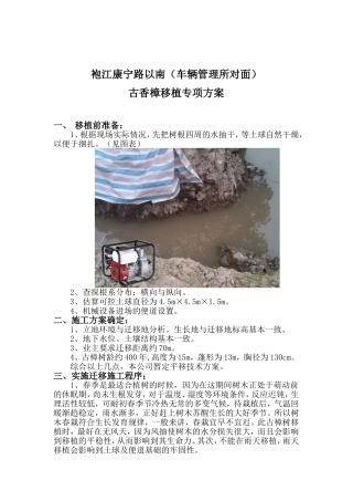 古树移植方案