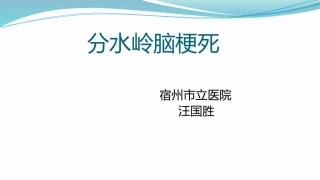 分水岭脑梗死