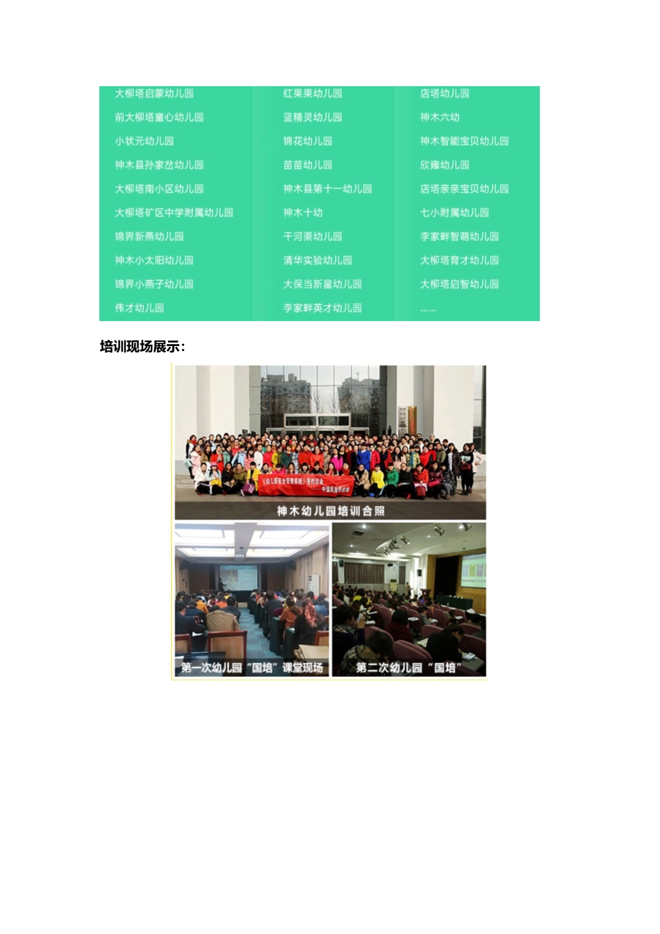 叶子兰老师简介_第3页