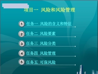 风险和风险管理